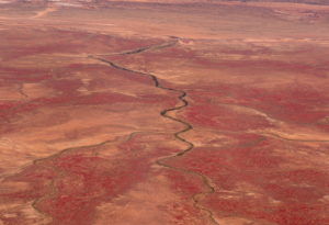snake-river